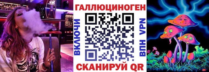Псилоцибиновые грибы Psilocybe  Купить где  Сосновый Бор 
